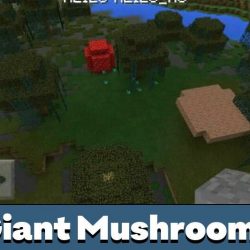 picture-mcpedl-00706-800x533-c-default