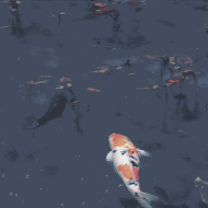 AymaneR 588